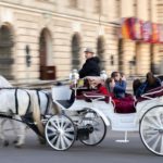 people-riding-horse-carriage-on-street-3823094