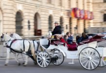 „Wien 1900. Aufbruch in die Moderne“ / Leopold Museum Wien