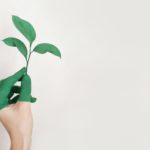 person-s-left-hand-holding-green-leaf-plant-886521