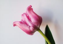 Ingeborg Strobl “Gelebt” / Mumok Wien