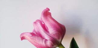 Ingeborg Strobl „Gelebt“ / Mumok Wien