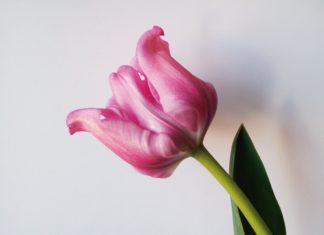 Ingeborg Strobl „Gelebt“ / Mumok Wien