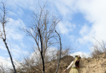 “Löss – eine Frau in der Landschaft” / Naturhistorisches Museum Wien
