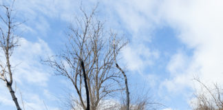„Löss – eine Frau in der Landschaft“ / Naturhistorisches Museum Wien