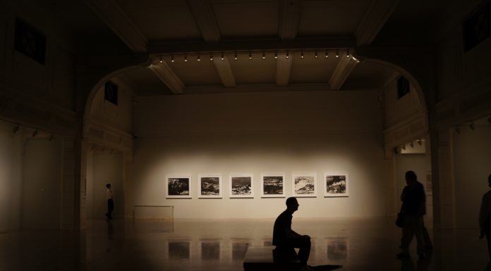 „Picks from the Gallery Program“ online / Galerie Hass & Gschwandtner, Salzburg