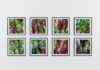 Christian Hutzinger “Transformers 2” / Galerie Eboran online