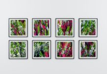 Christian Hutzinger „Transformers 2“ / Galerie Eboran online