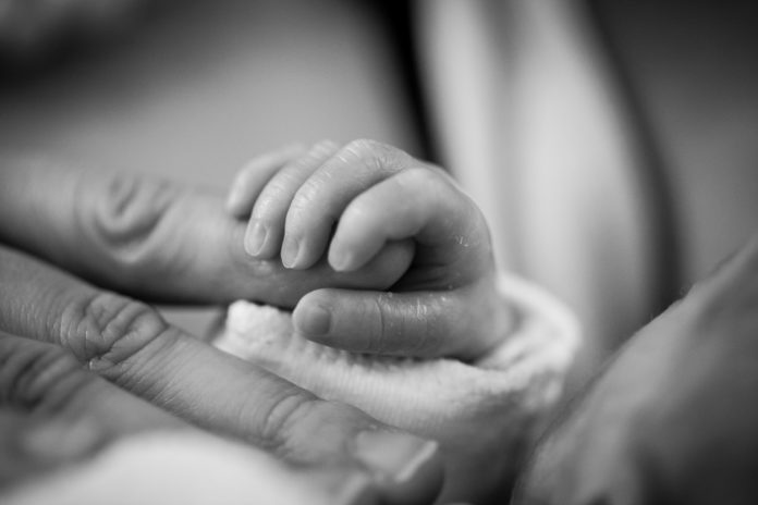 grayscale-photography-of-baby-holding-finger-208189
