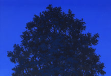 Im Raum die Zeit lesen / Mumok, Wien