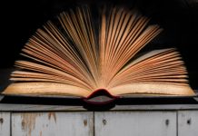 Feuer: Canetti & Sperber Lesung / Online