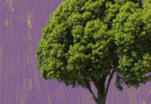 Graz2020: Eve or Adam or What? / Graz