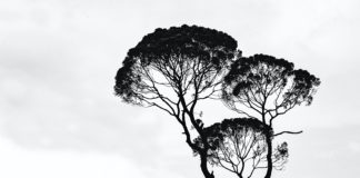 Culture X Change – Kurdische Kulturen / Wien