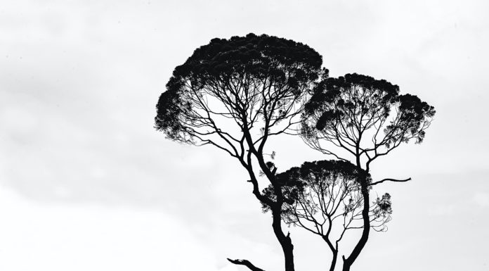 Marianne Lang „Vermessung der Leere“ / Stadtgalerie Lehen