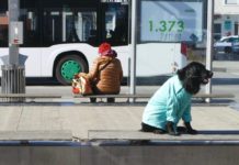 Graz 2020: This city’s loneliness / Graz