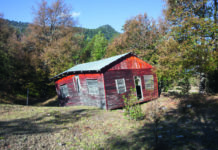 Laurien Bachmann „sense of motion“ / Galerie Eboran, Salzburg