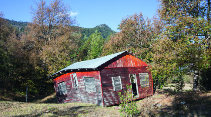 Laurien Bachmann „sense of motion“ / Galerie Eboran, Salzburg