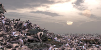 Martina Menegon „When you are close to me I shiver“ / MAK Wien