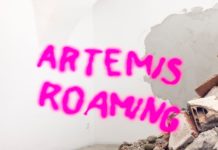 Artemis roaming / Galerie Oberösterreichischer Kunstverein