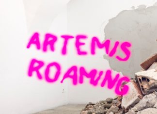 Artemis roaming / Galerie Oberösterreichischer Kunstverein