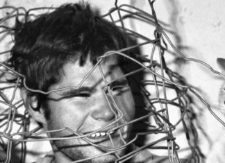 Roger Ballen „The Place of the Mind“ / FC – Francisco Carolinum, Linz