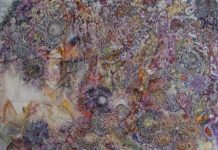 Karin Pliem: Interwoven Lives / Kunstverein Paradigma, Linz