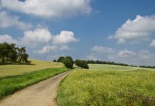 Region am Donnerstag / Online Diskussionsreihe