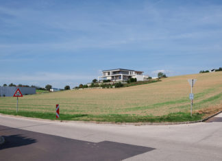 Raumplanung für alle, Online Konferenz / afo architekturforum oberösterreich