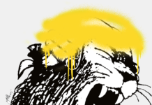 Motzart Festival / Arge Kultur, Salzburg