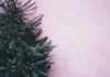 Virtueller Adventkalender / Landestheater Linz & Bruckner Orchester Linz