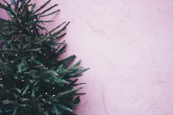 pexels-maria-tyutina-814266