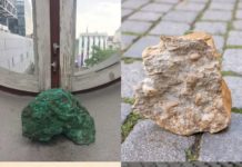 Bunte Steine: was bleibt / Wunderkammer Oberösterreich