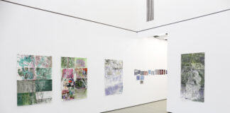 Ingrid Schreyer „vegrandis“ / Stadtgalerie Lehen, Salzburg