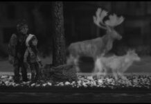 If Time Is Still Alive / Camera Austria, Graz