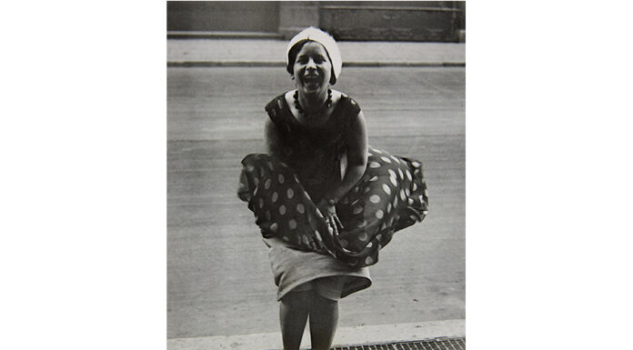 Tell Me What You See. Skrein Photo Collection