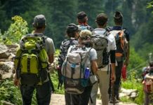 Vorarlberger Kulturpicknick / Bregenz, Vorarlberg