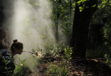 Breathe Earth Collective / MAK, Wien