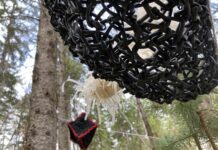 Weiterknüpfen / Schauraum Zollart, Koblach Vorarlberg