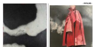 Katharina Moser, Faek Rasul „I’m falling“ / Galerie Loft 8, Wien