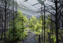 Vienna Biennale ’21: Planet Love – Art and design operate Climate Care