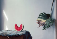 25_1 Jubiläumsausstellung / Kunstforum Montafon, Vorarlberg