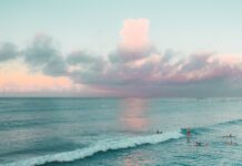 Sörf Film Fest ’21 / Bregenz & Österreich