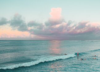 Sörf Film Fest ’21 / Bregenz & Österreich