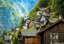 Austrian Brand Stories / Designforum, Wien