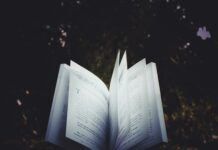 Grazer Poesieautomaten