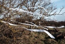 Elisabeth von Samsonow, The Elder Poem / Grazer Kunstverein