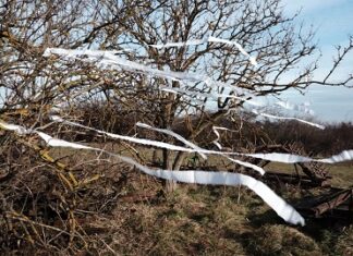 Elisabeth von Samsonow, The Elder Poem / Grazer Kunstverein