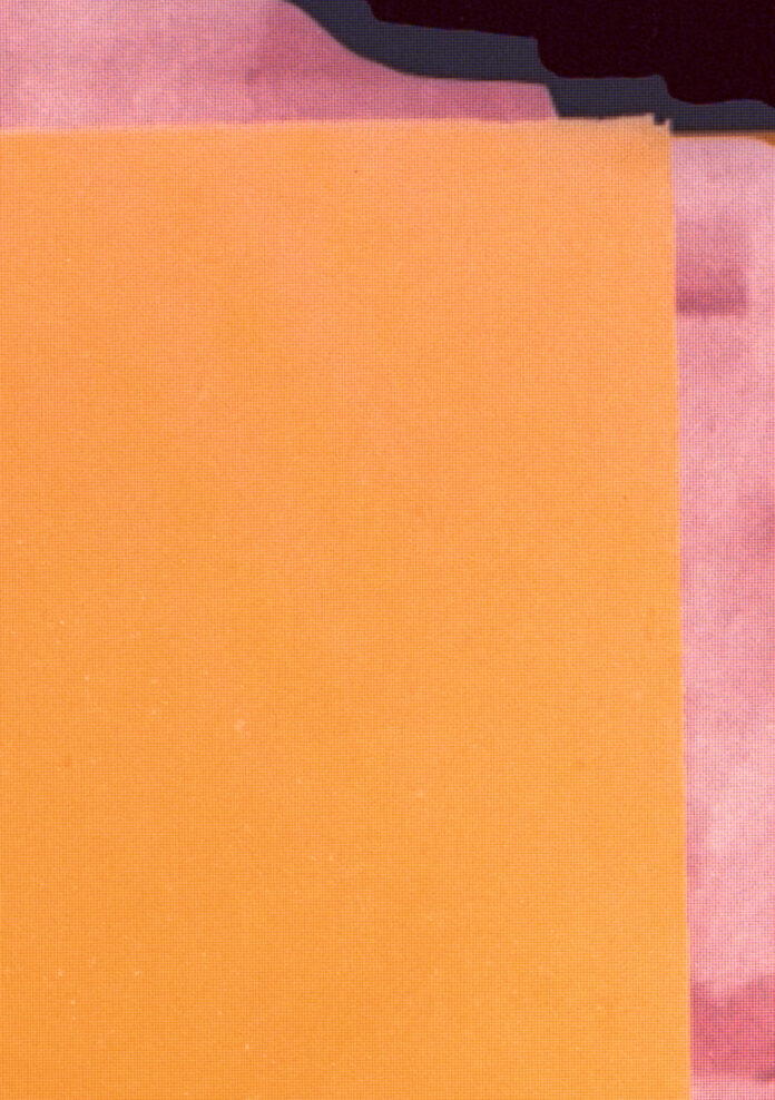 (c) Daniela Zeilinger, Sakura, 2021, Detail