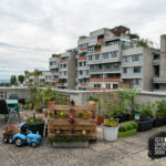 Julia-Gaisbacher_Terrassenhaussiedlung-2014_Logo-Kulturjahr
