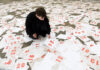 Martin Walde: TIMELINE / Neue Galerie, Graz