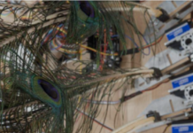 Volkmar Klien: Anschwellen – Abschwellen / Oberes Belvedere, Wien